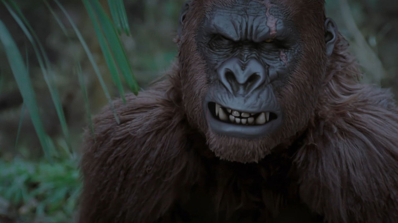 Mountain King backdrop