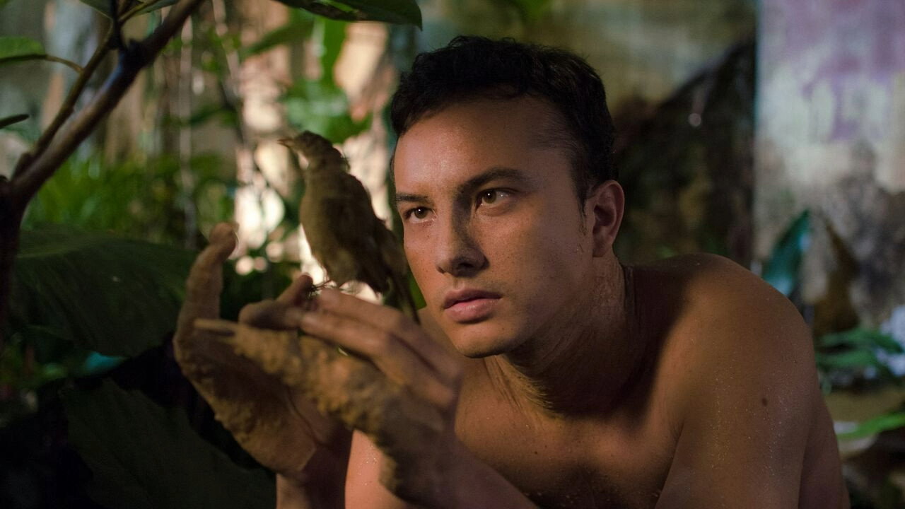 Interchange backdrop