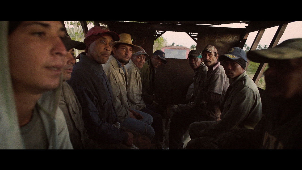 Cuba in a Bottle backdrop