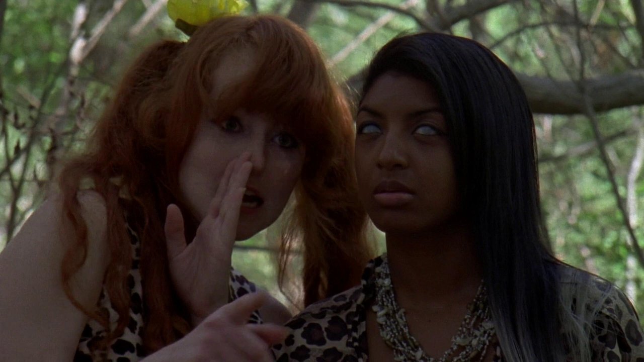 B.C. Butcher backdrop