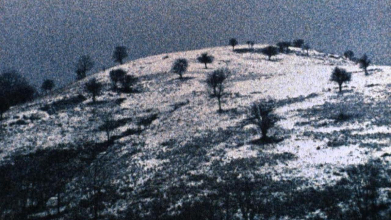 Differently, Molussia backdrop