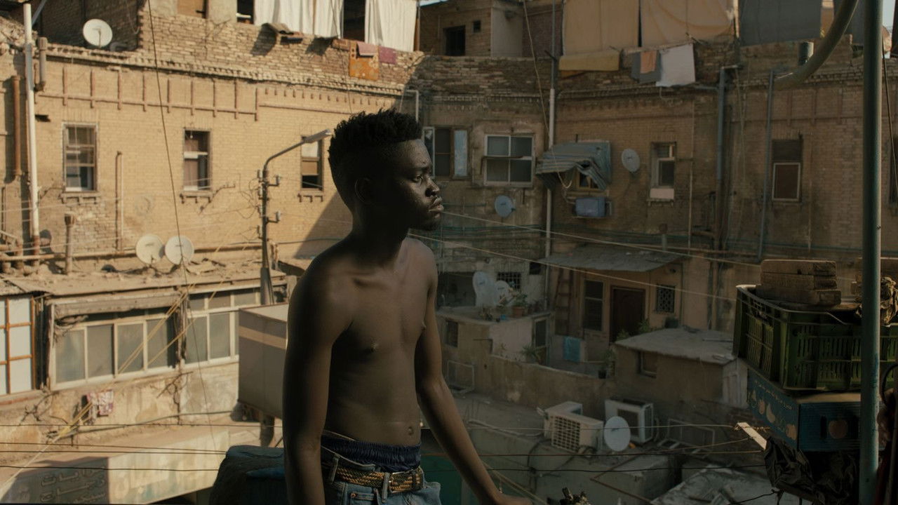 I Promise You Paradise backdrop