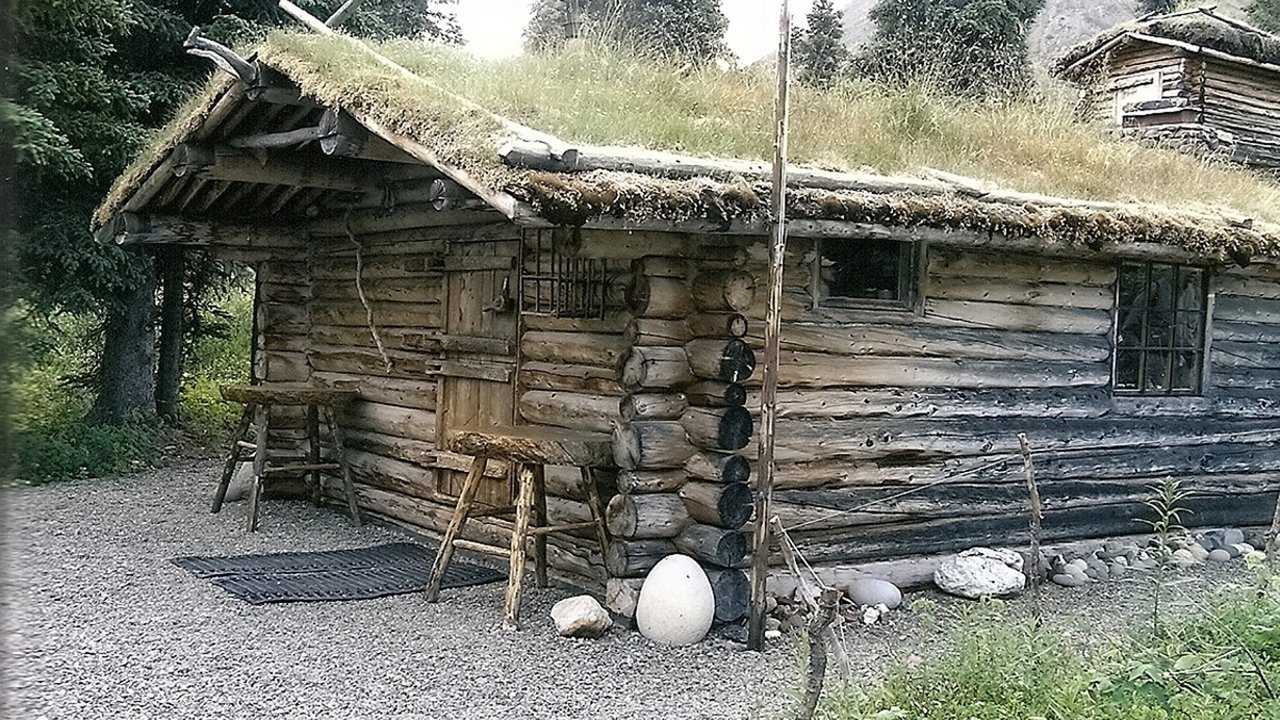 Alone in the Wilderness: Part II backdrop