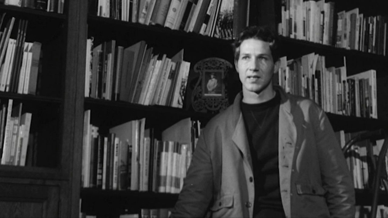 Neuer Deutscher Film Report backdrop