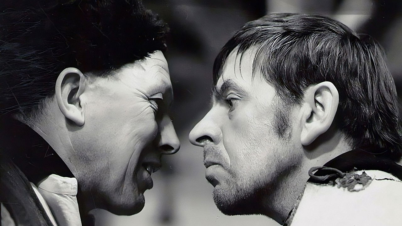 The Ginger Cow backdrop