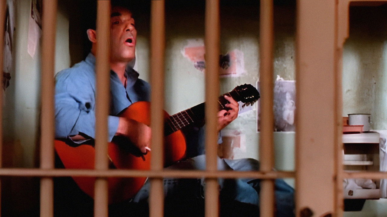 Break of Dawn backdrop