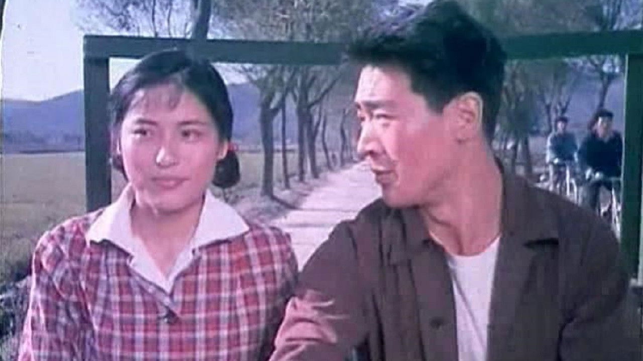 月亮湾的笑声 backdrop