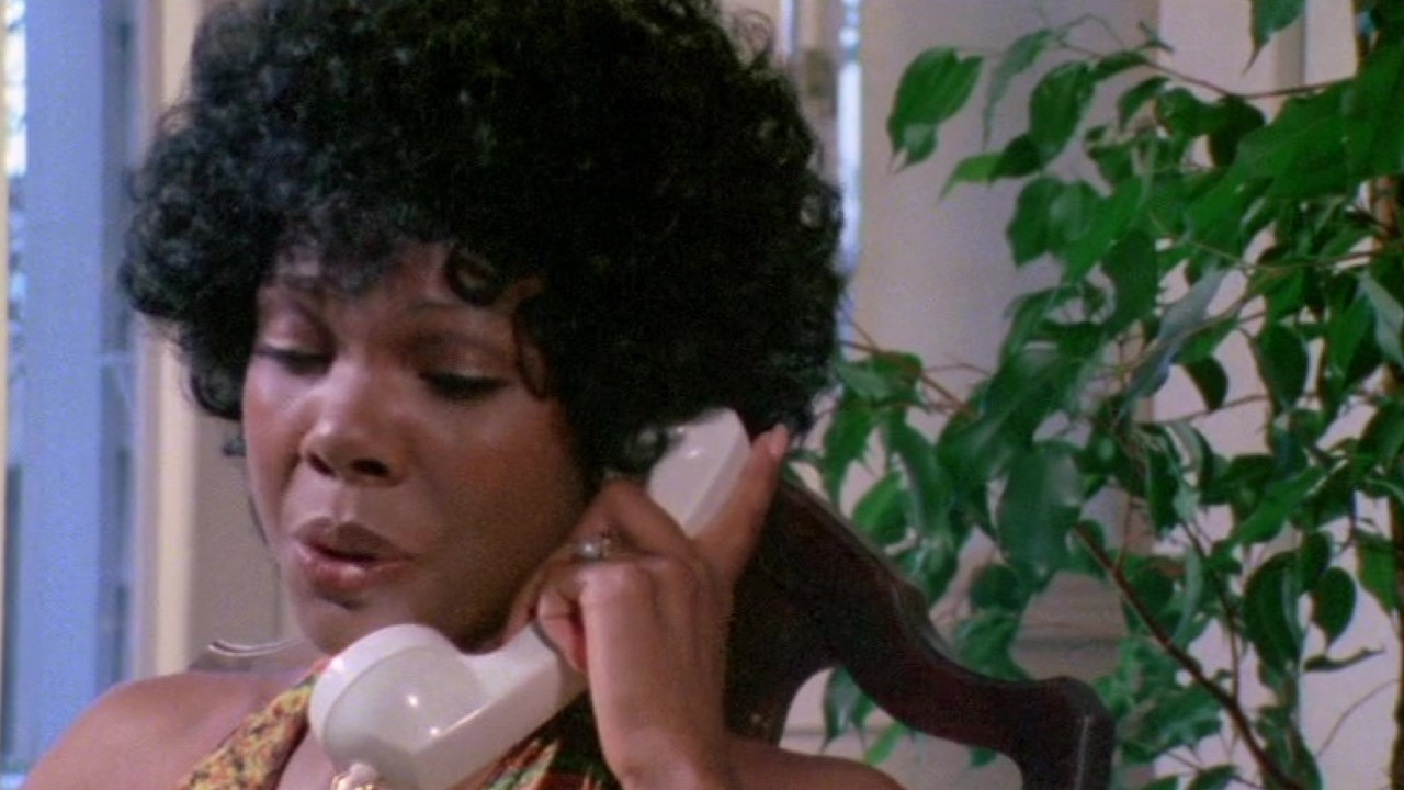 Game Show Models backdrop