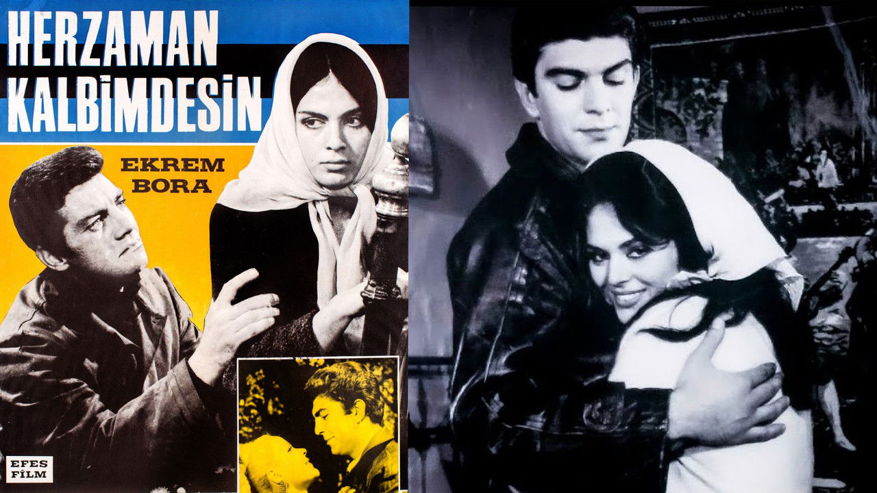 Her Zaman Kalbimdesin backdrop