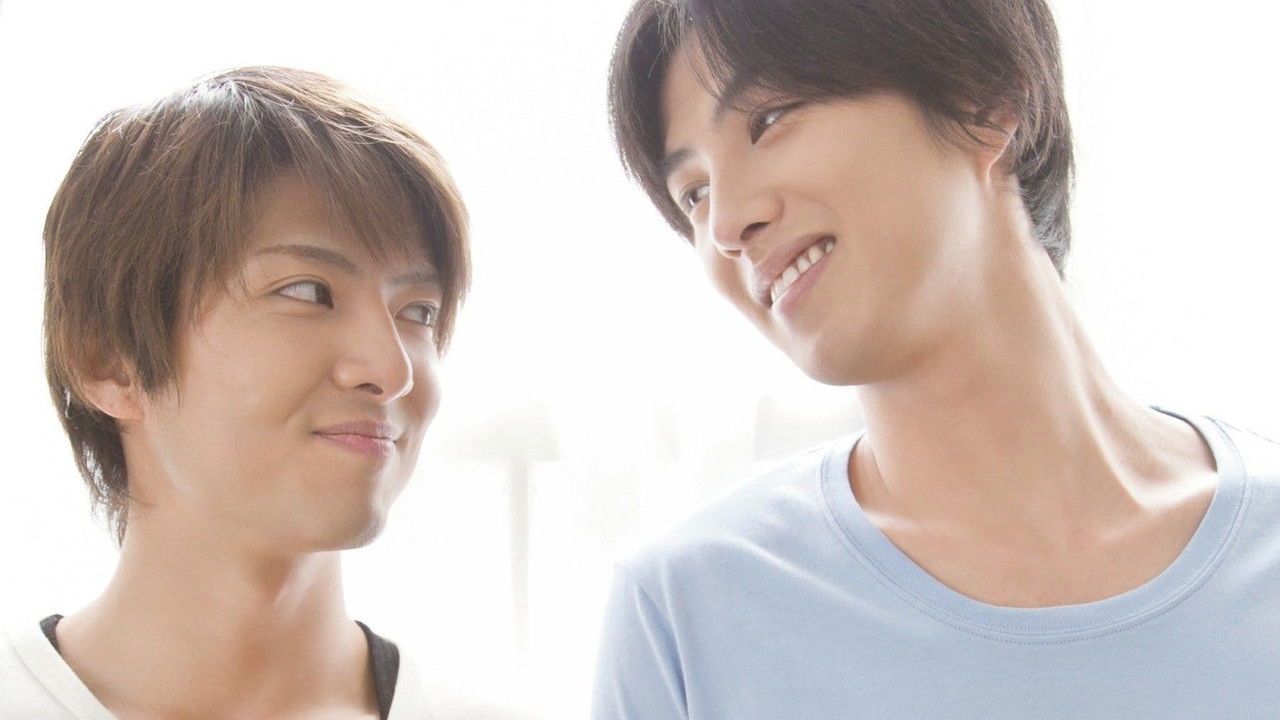 Shape of Happiness backdrop