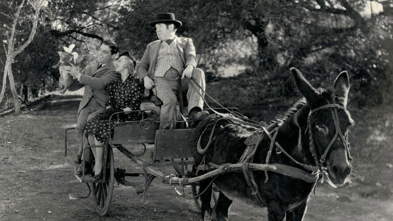 Laughing Irish Eyes backdrop