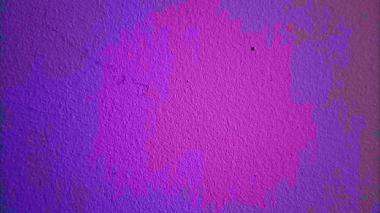 a tiny bug crawls across a wall backdrop