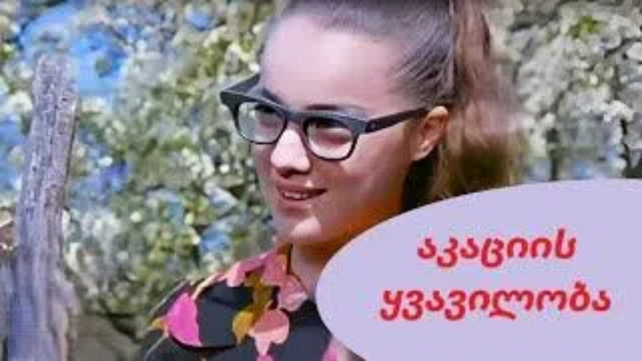 აკაციის ყვავილობა backdrop