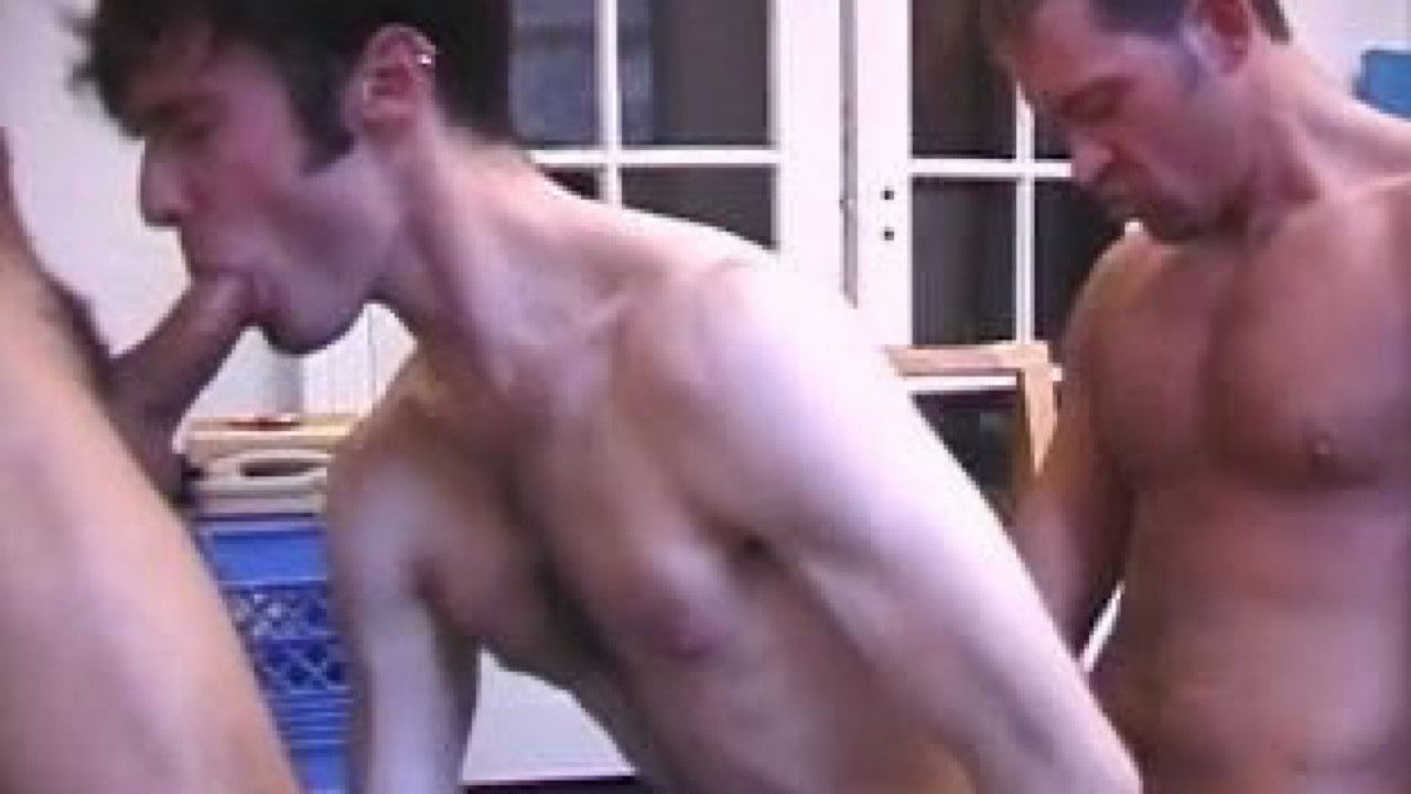 Cruisemaster Road Trip 2 backdrop