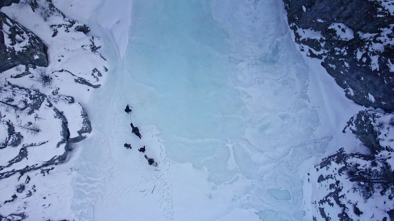 Gardiens de la forêt : Mongolie, la vallée des ours backdrop