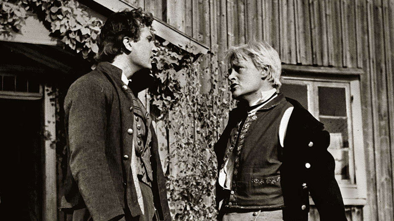 Nummisuutarit backdrop