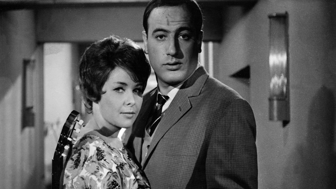 On the Sunny Side backdrop