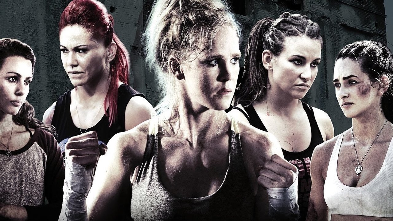 Fight Valley backdrop