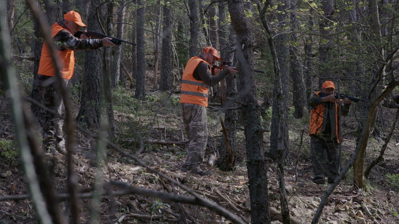 Stay Master backdrop