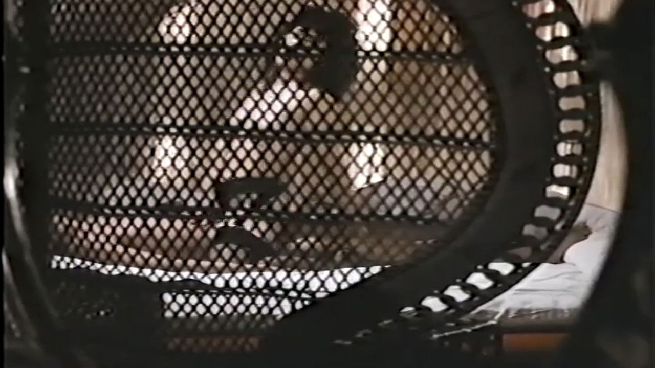 Groper Train: Start at the Back backdrop