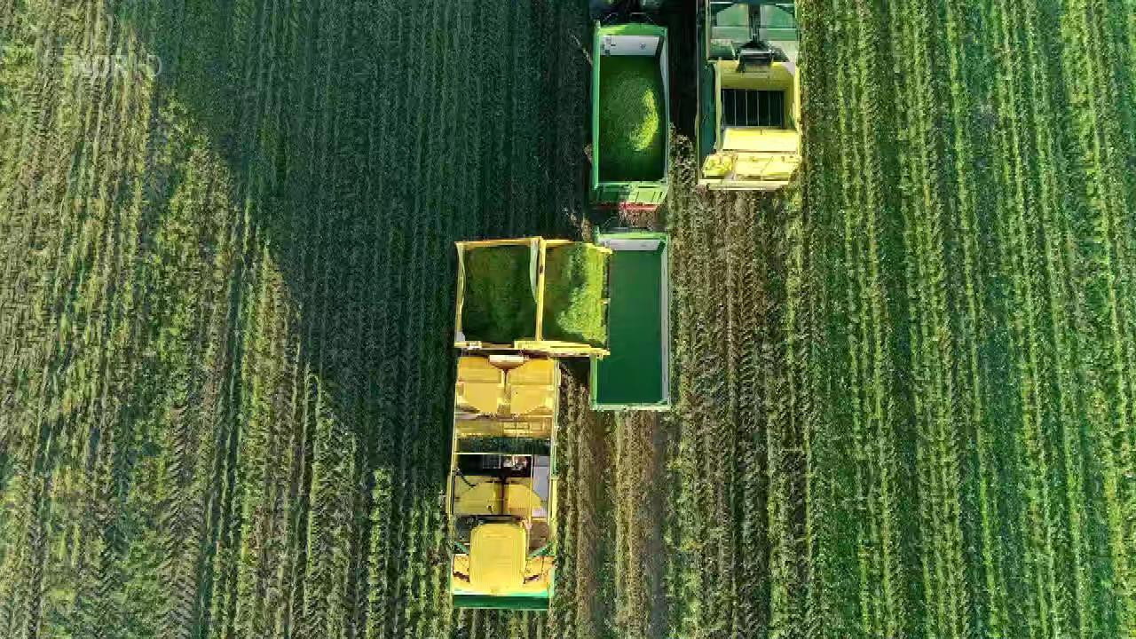 Abenteuer Ernte backdrop