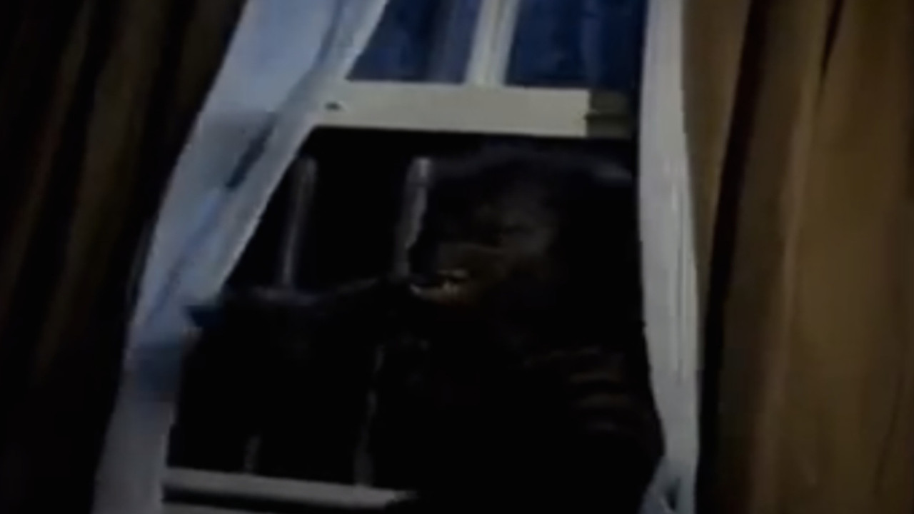 Goosebumps: Werewolf Skin backdrop