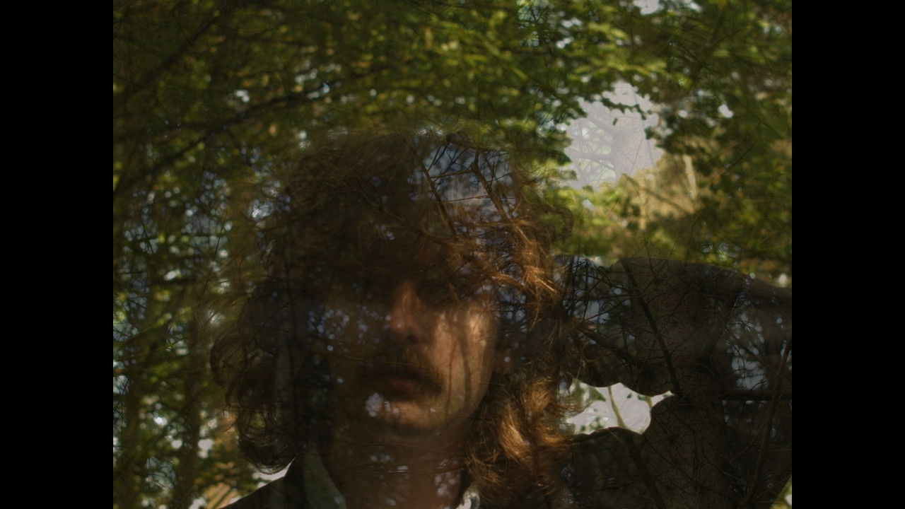 No Man is an Island backdrop