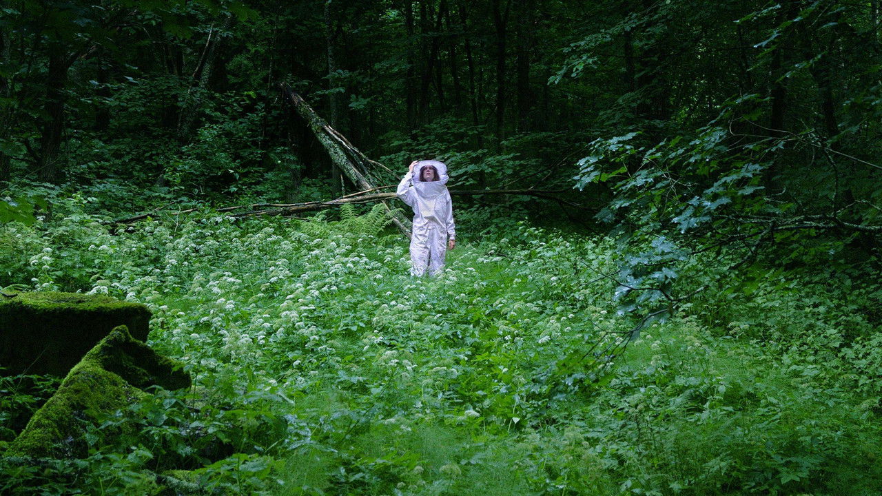 Summer of Bees backdrop