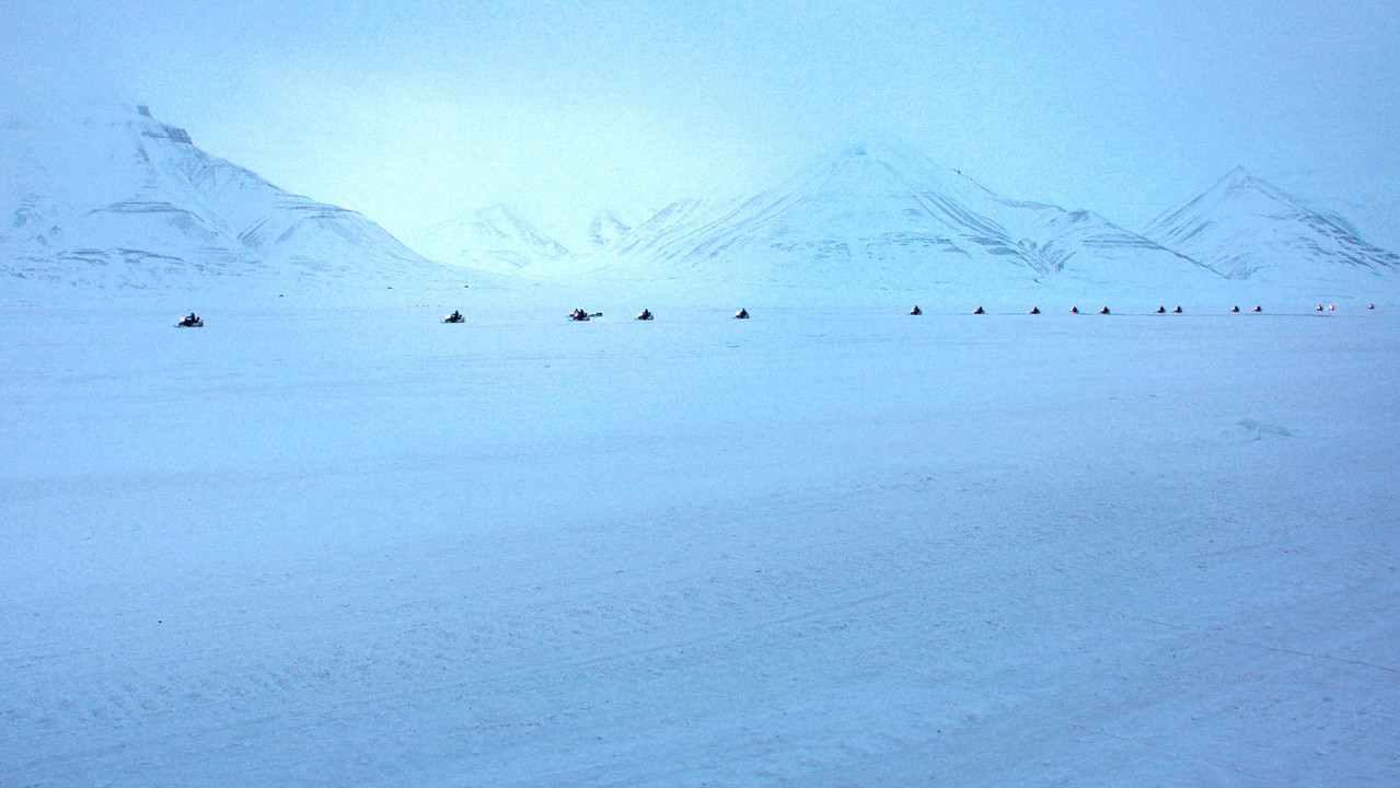 The Visitors backdrop