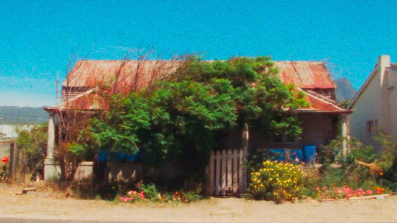 Classified People backdrop