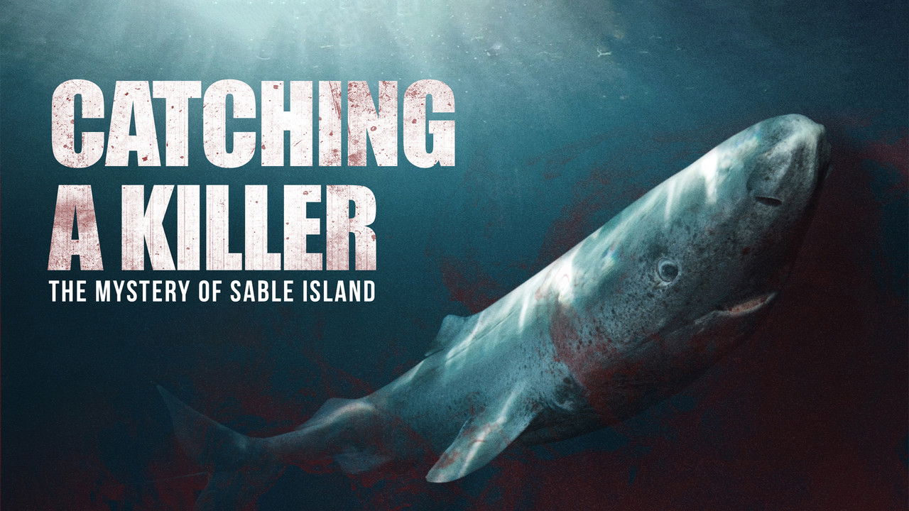 Catching a Killer: The Mystery of Sable Island backdrop