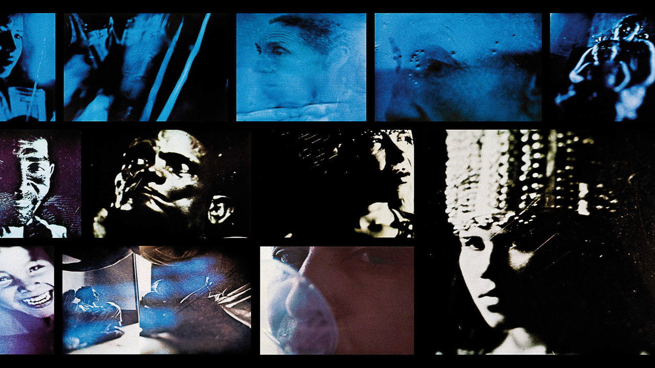 Equivalências - Aprender Vivendo backdrop