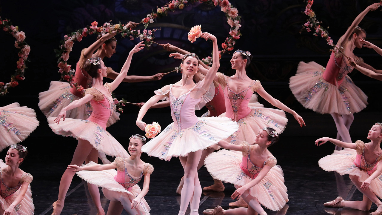 Le Corsaire backdrop