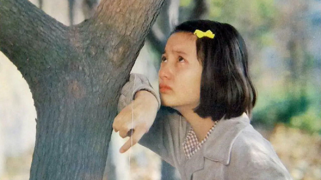 少男少女们 backdrop