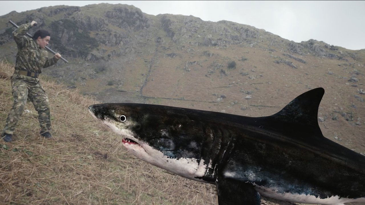 Mountain Shark backdrop