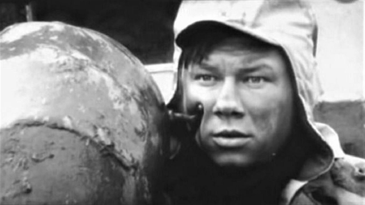 Meldru mežs backdrop