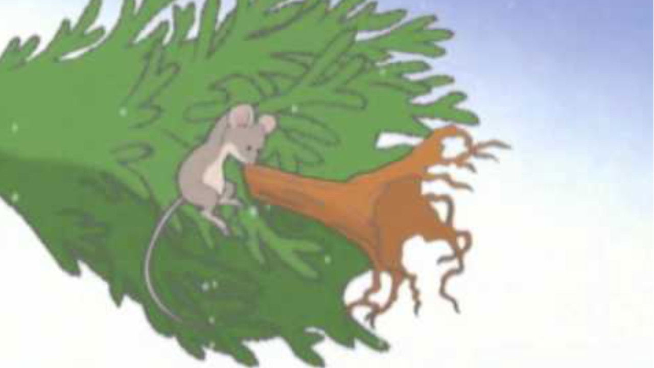 Kipper: Let it Snow! backdrop