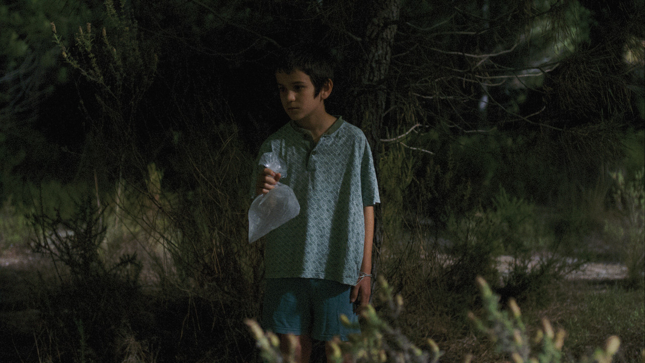 Wild Haggis backdrop