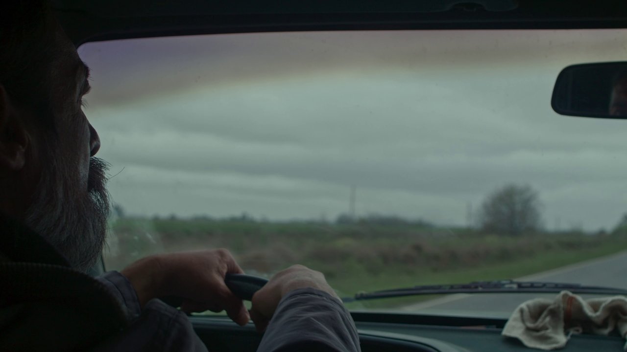 Animal Transport backdrop