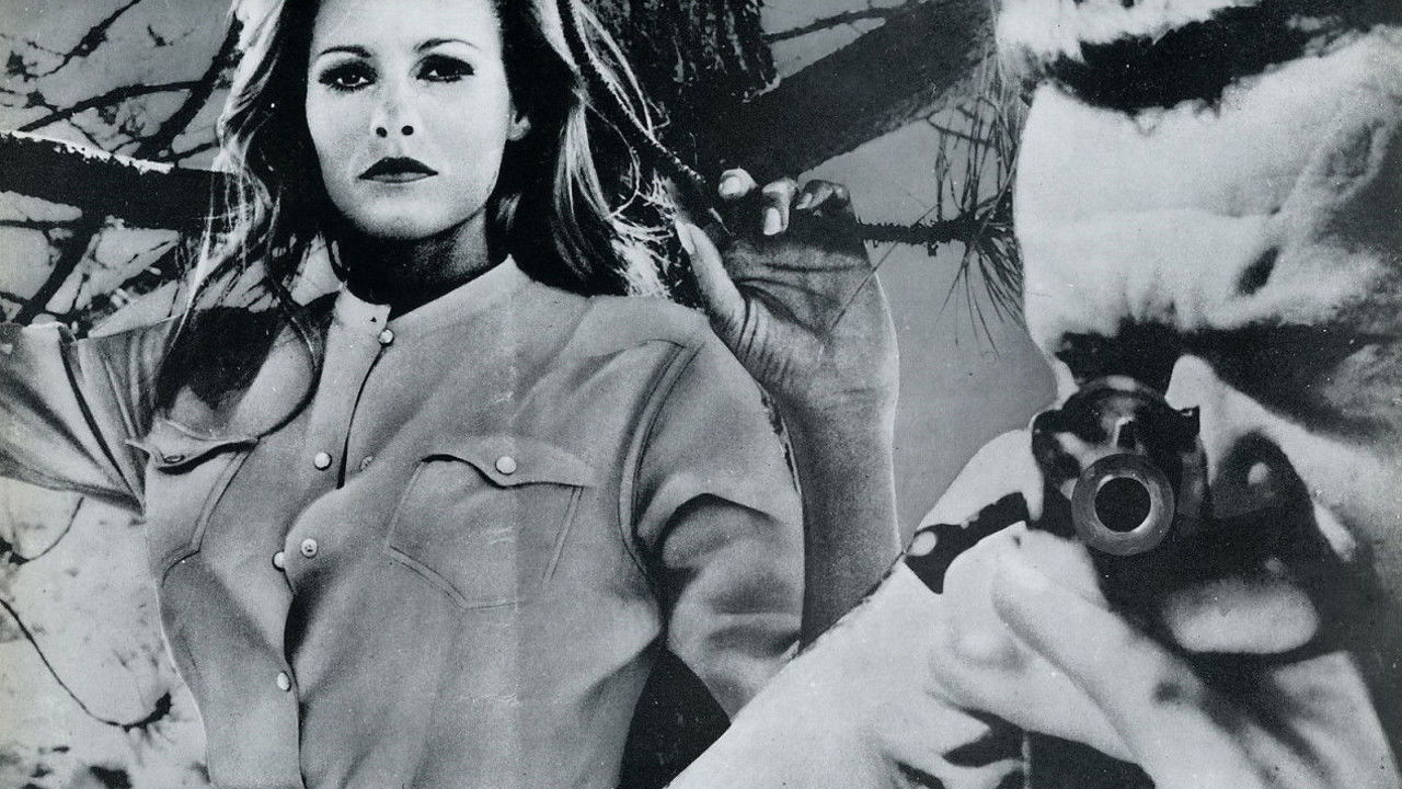 Nightmare in the Sun backdrop