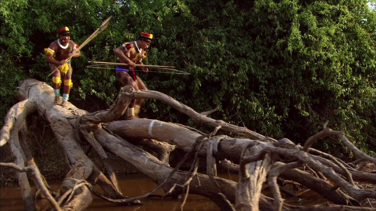 Amazon Forever backdrop