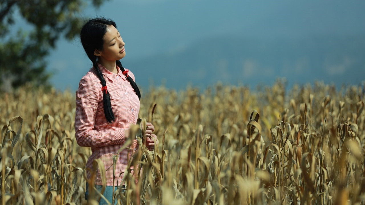 Mountain Cry backdrop