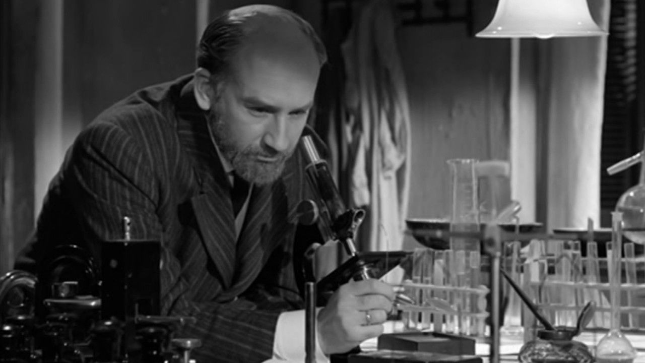 Salto a la gloria backdrop