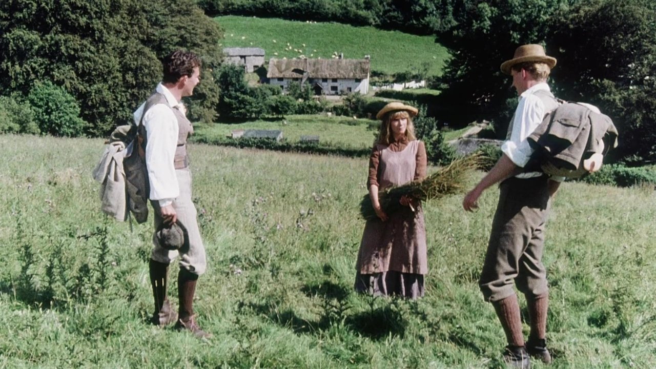 A Summer Story backdrop