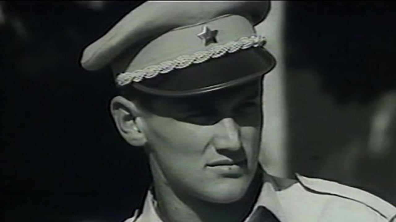 Have Anything to Declare? backdrop