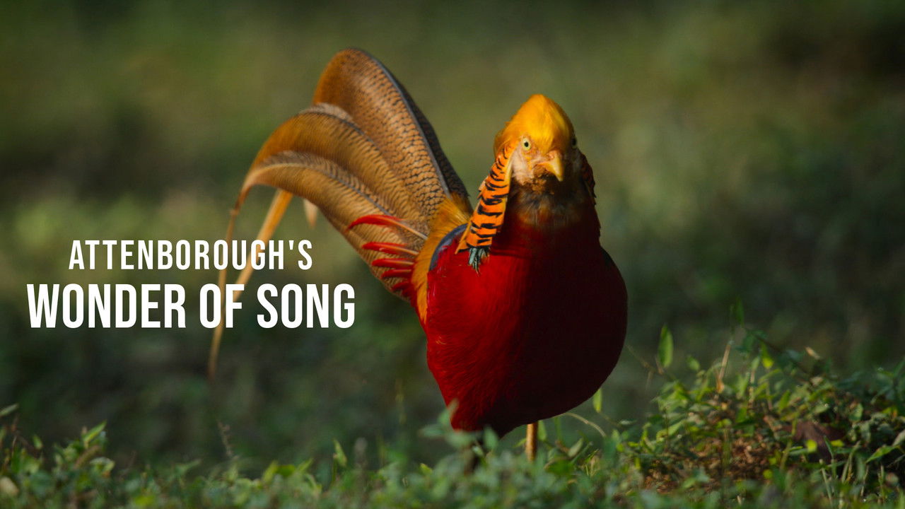 Attenborough's Wonder of Song backdrop