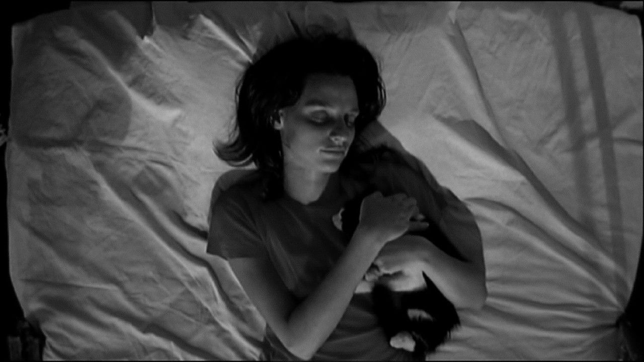 Still Looking for Morphine backdrop