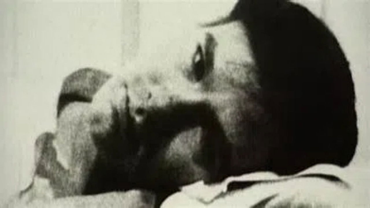 Vies et morts d'Andy Warhol backdrop