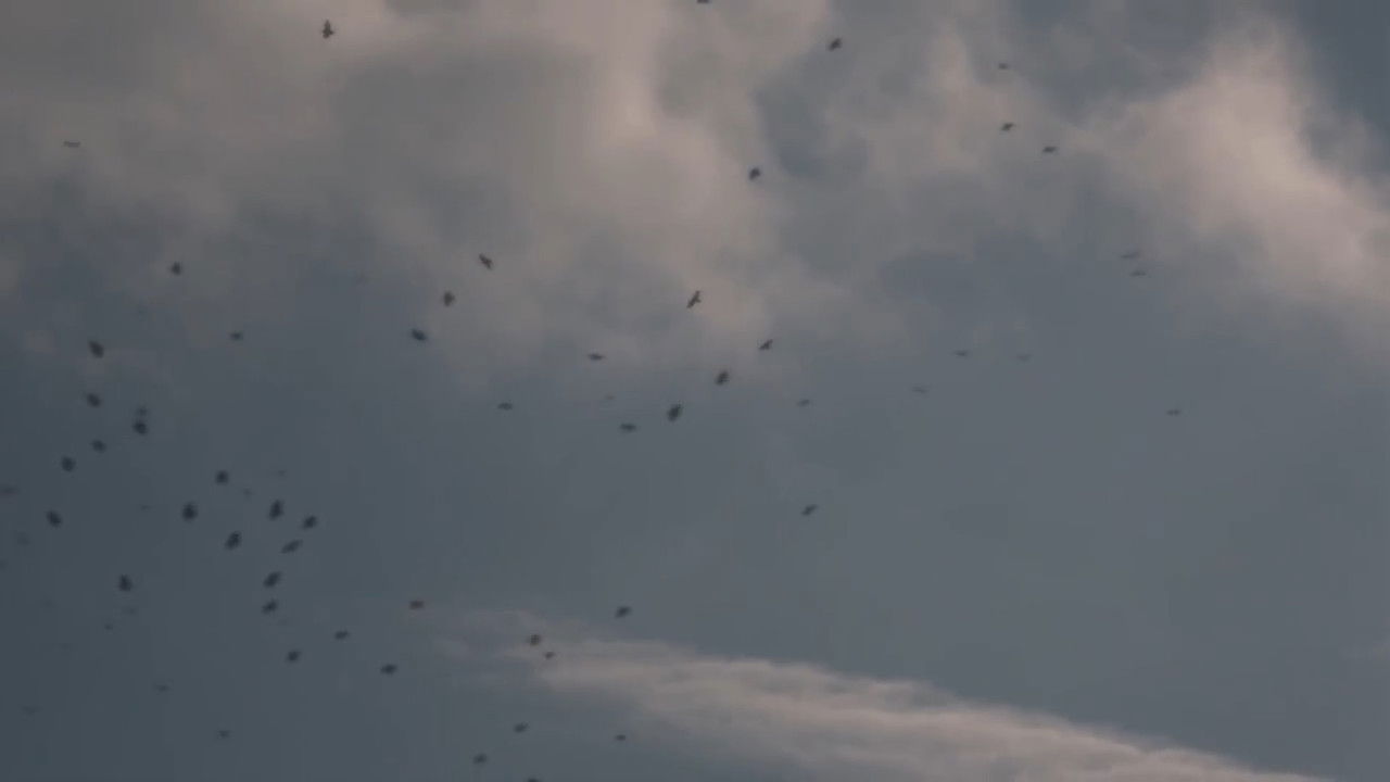 The Sky Seemed Too High backdrop