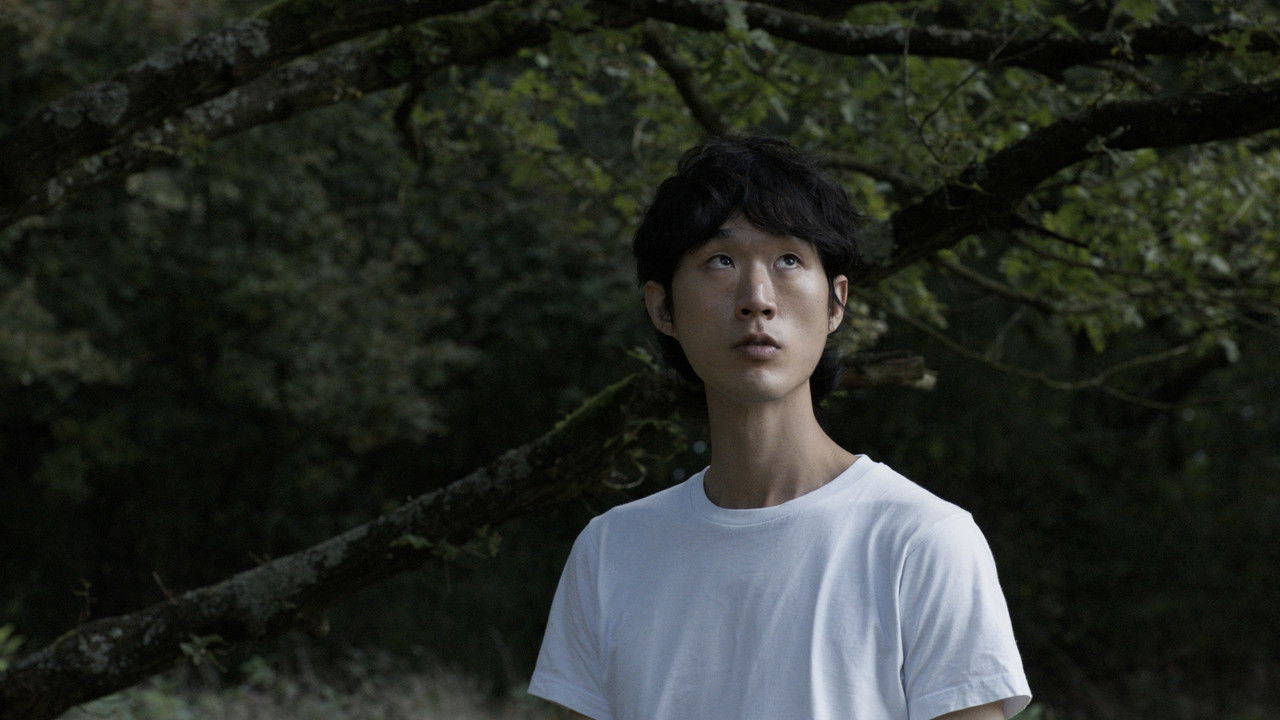 Why hasn't everything disappeared yet backdrop